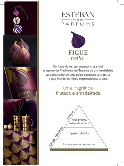 Figue noire Bouquet parfumé Initial fig-016 esteban paris mikado difusor