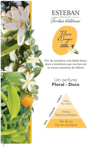 Fleurs d’oranger Concentré de parfum 15 ml bfo-006 flor de laranjeira esteban paris óleo