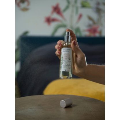 bfl-003 frescura de linho esteban paris aromatizador spray fraicheur de lin