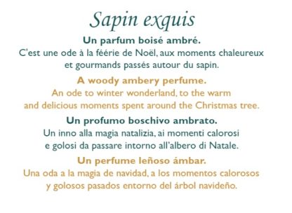 eln-100 sapin exquis esteban paris parfums mikado difusor natal