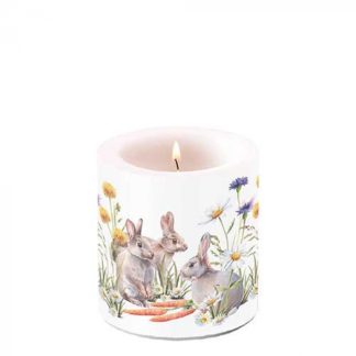 Candle small Carrot treat Article number 29218250 Candle small Blooming magnolia Article number 19218440 vela pequena domingo de ramos dia da mãe páscoa pascua domingo de madrinhas magnolias