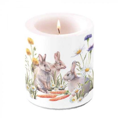 Candle medium Carrot treat Article number 29318250 Candle small Carrot treat Article number 29218250 Candle small Blooming magnolia Article number 19218440 vela pequena domingo de ramos dia da mãe páscoa pascua domingo de madrinhas magnolias