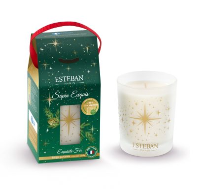 Sapin Exquis 2024 Bougie parfumée - Edition Noël esteban paris parfums vela natal pinheiro vela navidad pino