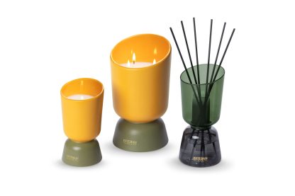 ICONIC COLOR Refillable scented Initial candle 220g Néroli Iris Cachemire esteban paris parfums mikado difusor iconic Lin vela