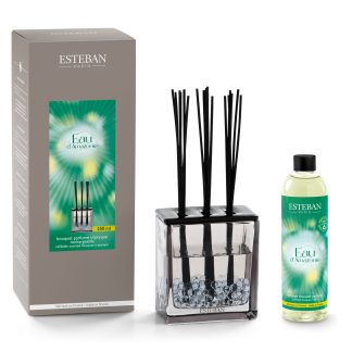 Eau d’Amazonie Scented bouquet Triptyque 250ml esteban paris parfums amazónia mikado difusor