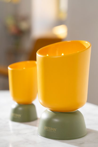 ICONIC COLOR Refillable scented Initial candle 220g Néroli Iris Cachemire esteban paris parfums mikado difusor iconic Lin vela