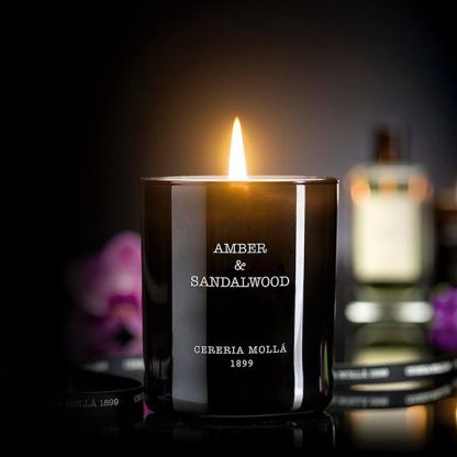 Vela Amber & Sandalwood 230gr vela cereria mollá ambar sândalo