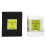 Eucalyptus & Mint - Vela Perfumada 230 g. Cerería Mollá