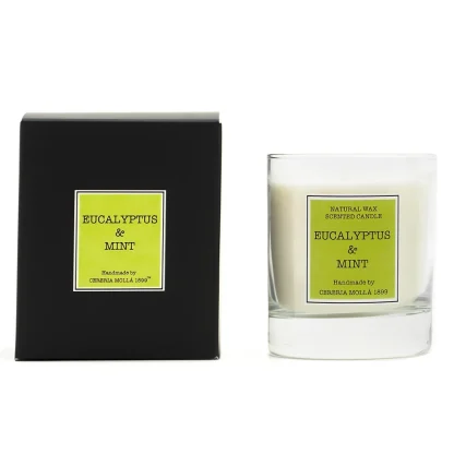 Eucalyptus & Mint - Vela Perfumada 230 g. Cerería Mollá