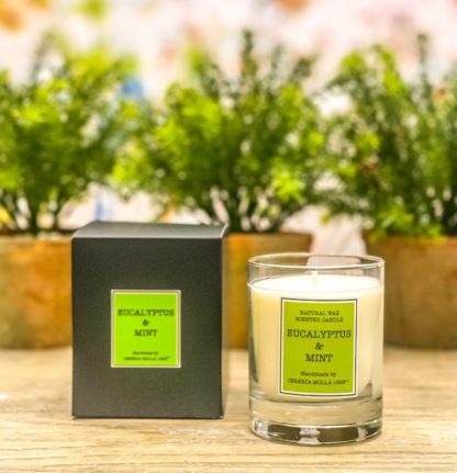 Vela 230ml Cereria Mollá: Eucalyptus & Mint / Eucalipto e Menta - Image 2