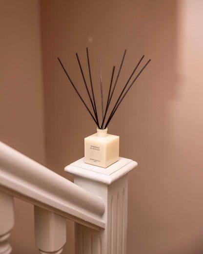 Verbena Di Sicilia 100ml Reed Diffuser mikado cereria mollá