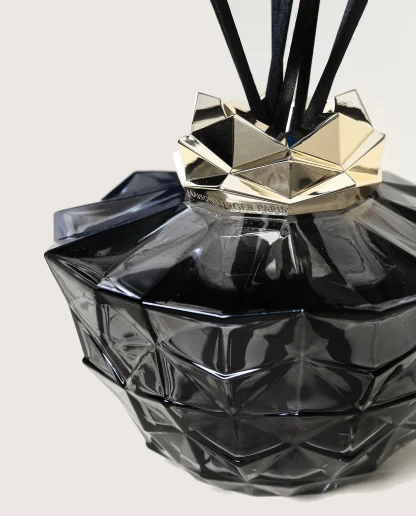 Conjunto Mikado Kali Noire + 200ml Splendeur Vanillée: Maison Berger Paris