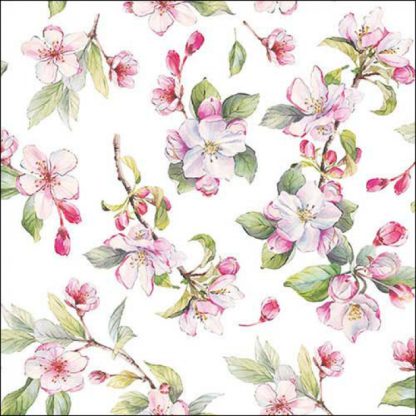Guardanapo papel 33X33: O Nascer da Primavera (flores rosas e brancas)