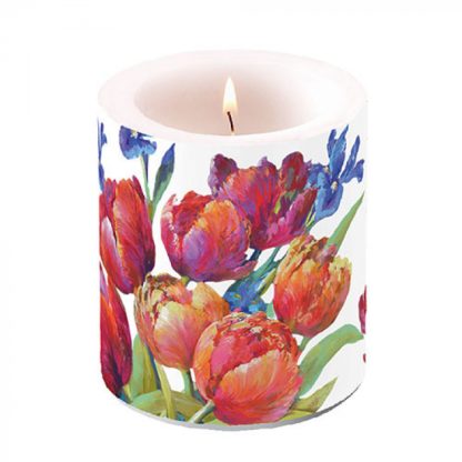 Vela média: Tulipas de Alegria