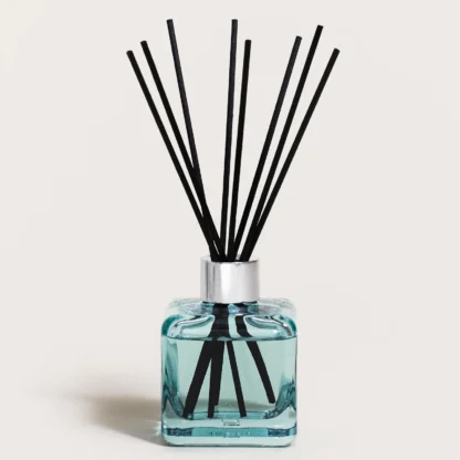 Bouquet parfumé Ma Salle d'Eau Sans Mauvaises Odeurs maison berger paris mikado anti odor casa de banho wc