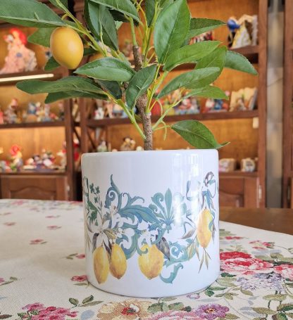 Vaso Circular Sicily 14cmX15cm: modelo Ramagens Limões
