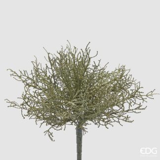 Planta Santolina Artificial, para os seus vasos