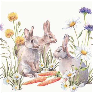 Guardanapo papel 33X33 (20 unidades): Coelhos e Cenouras