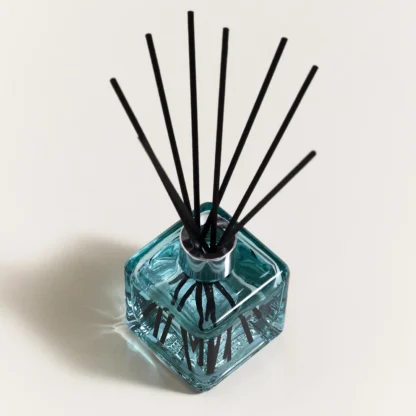 Bouquet parfumé Ma Salle d'Eau Sans Mauvaises Odeurs maison berger paris mikado anti odor casa de banho wc