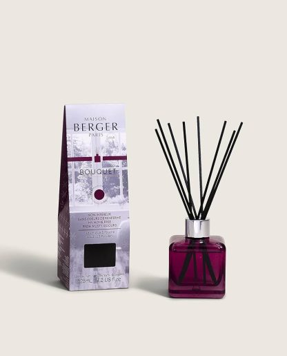 Mikado 100ml Anti-Odor: Especial anti-odor Mofo e Espaços Fechados