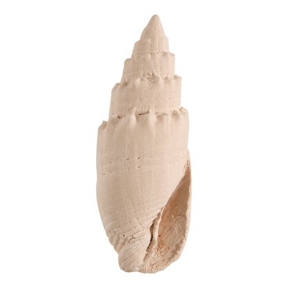 Bolsa Bain de Soleil com gessos, pendente e spray aroma Perle de Coco: Mathilde M.