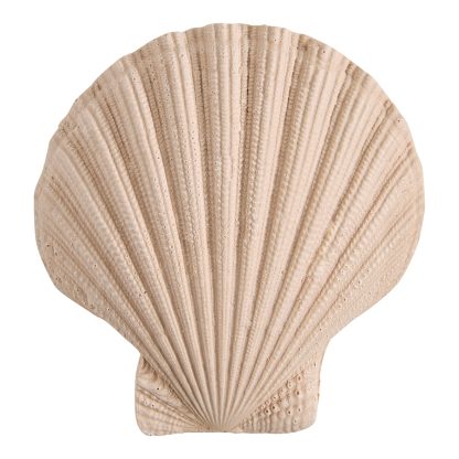 Bolsa Bain de Soleil com gessos, pendente e spray aroma Perle de Coco: Mathilde M.