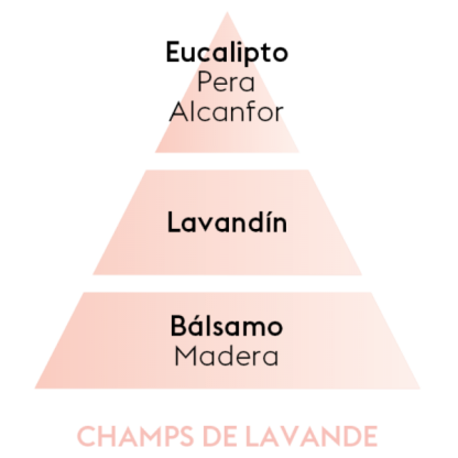 Fragrância 500ml Champs de Lavande / Lavanda: lâmpada catalítica