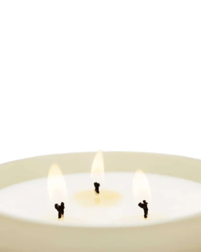 Vela 600gr 3 Pavios Cereria Mollá: Black Orchid & Lily (Orquídea e Lírio)