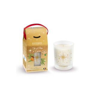 Vela 180gr em Caixa Oferta: Thé et Pain D'Épices
