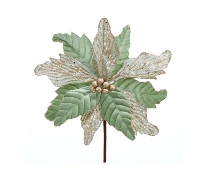 Poisenttia Verde Água Elegante: 35cm