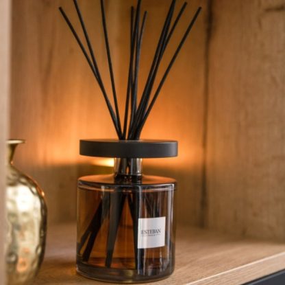 Grande Difusor Mikado Ellipse 500ml: Neroli
