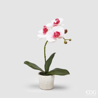 Vasinho de Orquídea Rosa e Branca 30cm
