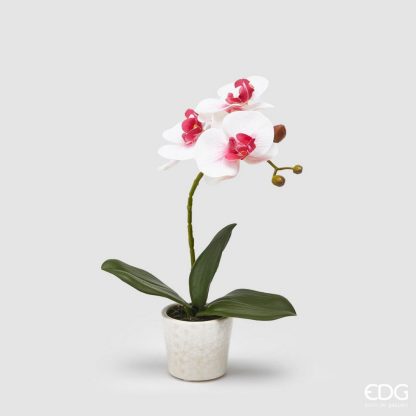 Vasinho de Orquídea Rosa e Branca 30cm