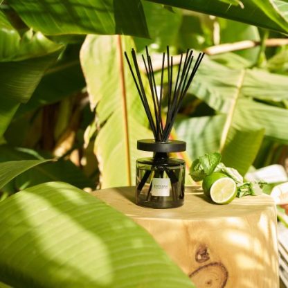 Difusor Mikado Ellipse 200ml: Eau D'Amazonie / Água da Amazónia