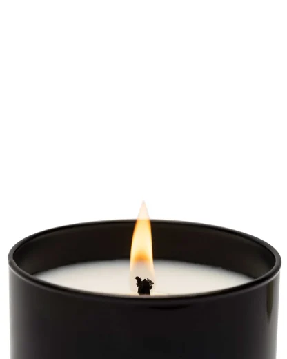 Vela 230gr Cereria Mollá: Santal & Tonka