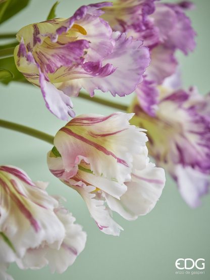 Ramo Tulipas Abertas Farfalhudas: Rosa e Branco