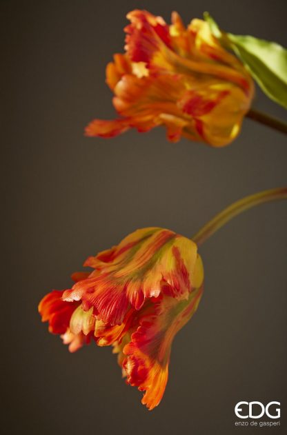 Ramo Tulipas Abertas Farfalhudas: Amarelo e Laranja