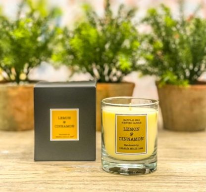 Vela 230ml Cereria Mollá: Lemon and Cinnamon / Limão e Canela