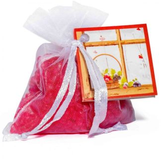Resinas perfumadas 32gr Frutos de Inverno