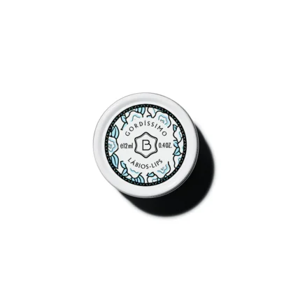 Bálsamo de Lábios 12ml Hidratante Gordíssimo: Benamôr