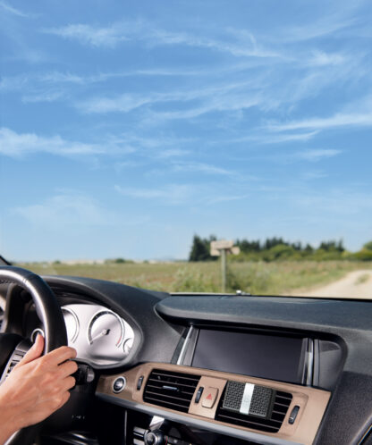 Esprit de thé Scented car diffuser