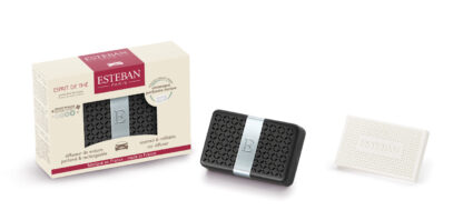 Esprit de thé Scented car diffuser