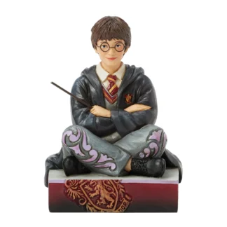 The Chosen One (Harry Potter Personality Pose) 6016699 HARRY POTTER HEARTWOOD CREEK JIM SHORE