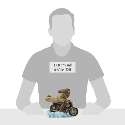 Guardian in the Sky (Hagrid on Bike) 6016704 HARRY POTTER JIM SHORE HEARTWOOD CREEK ESPELHO DE OJESED
