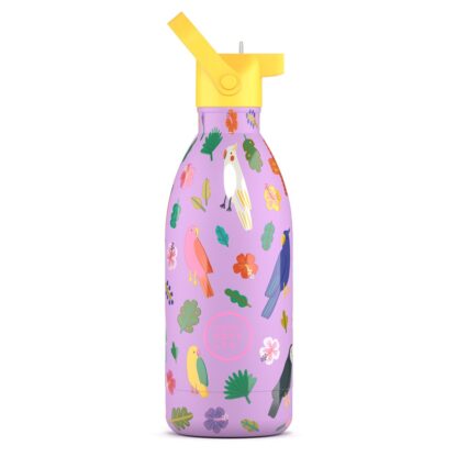 Garrafas térmicas Garrafa térmica Cool Bottles Fly Free 500ml Ref: 8436583305249