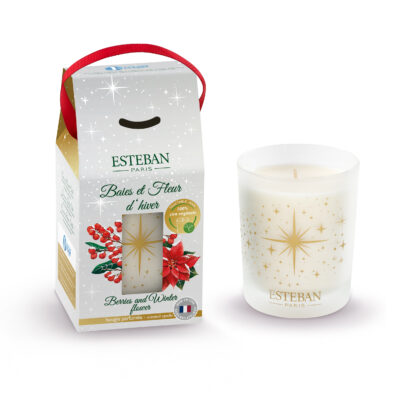 ESELN-180 – Vela 180gr em Caixa Oferta Edição Natal: Bagas e Flor de Inverno – Aroma Baies et Fleur D'Hiver: