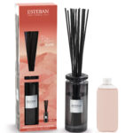 Difusor Mikado Inicial 100ml: Terre D'Ocre Karité tok-001 esteban paris parfums