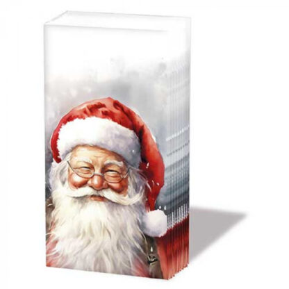Pacote Lenços Natalícios: Sorriso Pai Natal