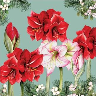 Guardanapo papel 33X33cm (20 unidades): Blooming Amaryllis