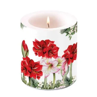 Vela média decorativa: Blooming Amaryllis